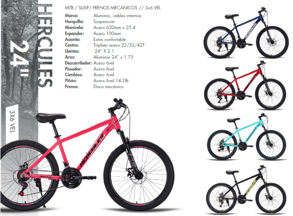 Bicicleta Hercules MTB ¨24 - Imagen 1
